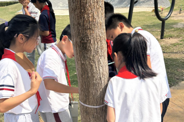 数学步道